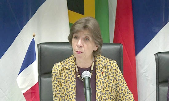 Colonna en Afrique du sud