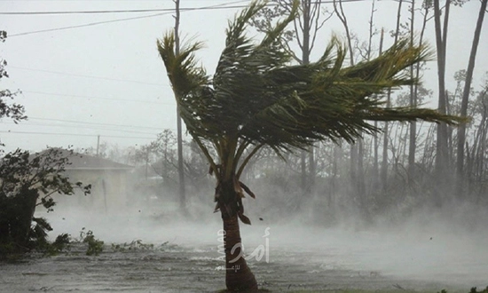 cyclone Gabriel