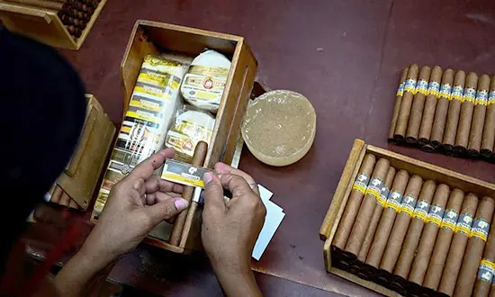 les cigares Habanos