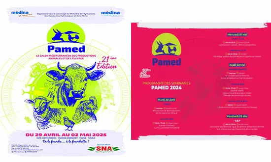 salon PAMED 2024
